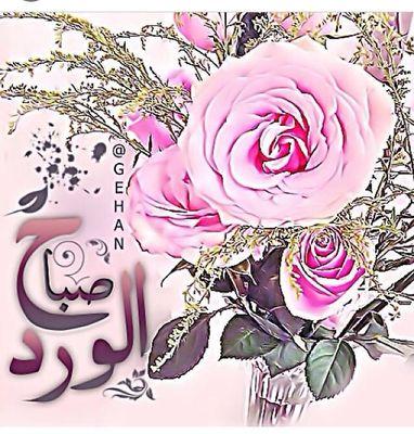 تعارف وصداقه