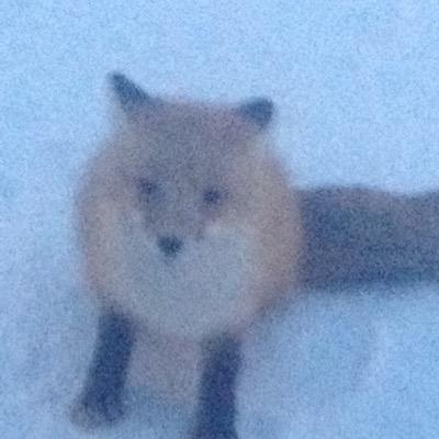 rshurtle's profile picture. Soon To Be Biology Teacher With Experience In Arctic Oil Field