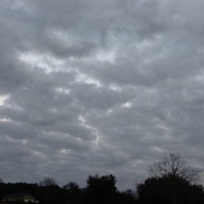 MaximistOLD's profile picture. i am gone. the new one is @maximistv2