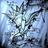 vcentofficial's profile image