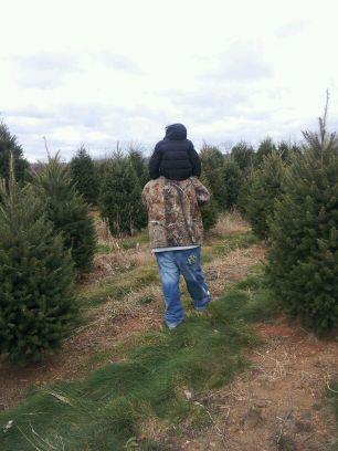 moyotorres's profile picture. 