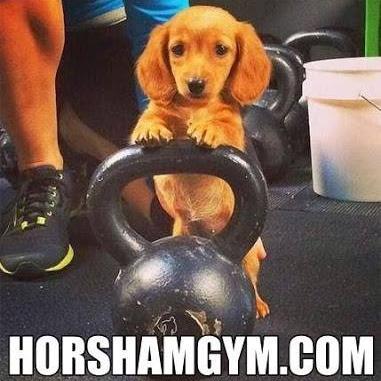 Yoga, Zumba, Muscle classes, open 24/7