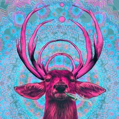 whoispaisley's profile picture. music from #yyc