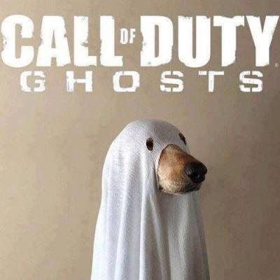 13 years old / Essex / Sniper and Co leader for S9 Clan.