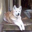 Janet Lease - @jlease1218 - Twitter