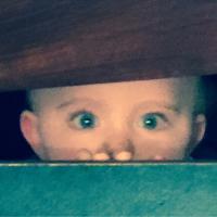 Joe Devlin (@joedevlin60) 's Twitter Profile