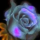 cuore dolce (@11bab6905b3d4f5) Twitter