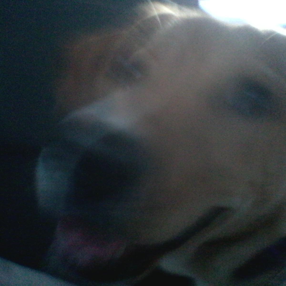 lizettemonica's profile picture. Licencia en Ciencias de la educación