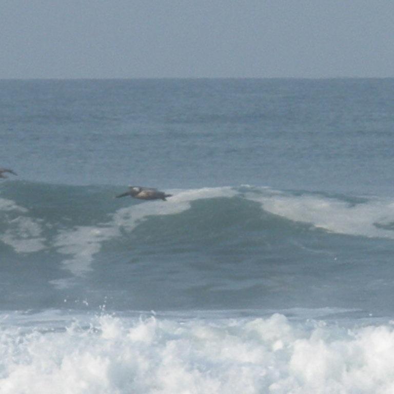 aktxamazon1's profile picture. 