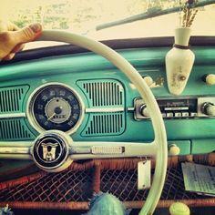 Be Free Be Wild Be young