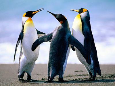 Family Matters Network is a family support initiative borne out of a divine mandate, to help restore lost family values, strengthen family togetherness and unit