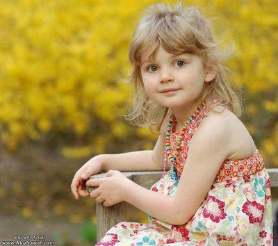 Shahed679 Profile Picture