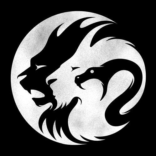 CoD & Halo competitive team