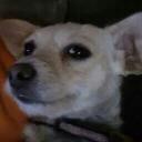 Tim Trujillo - @TimUnhero10033 - Twitter