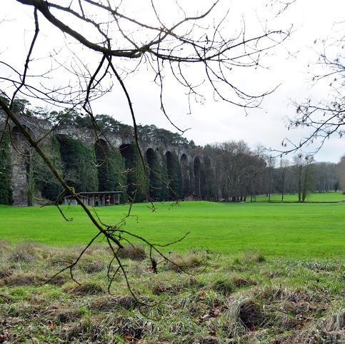 hassan_massaoud's profile picture. 