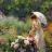 TTahani76's profile image