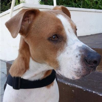 ⠀⠀⠀⠀⠀⠀ ⠀⠀⠀burnie is the loml