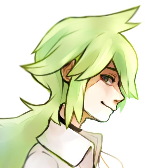 [RP] Natural Harmonia Gropius. Hijo de Gechis y ex-líder del Equipo Plasma. Los Pokémon... son mis amigos.