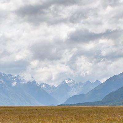 yogaxtcaus's profile picture. The solution to a balanced healthy lifestyle through tailored programs combining yoga, cardio, strength training and nutrition coaching