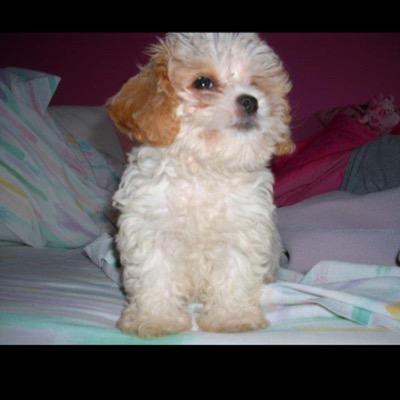 AlliEgator50's profile picture. Life's too short, gotta live it long :)