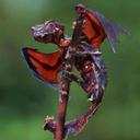 nancy robin welch - @oceanside61 - Twitter