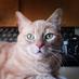 m lis (@mlis365) Twitter profile photo