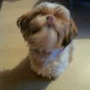 Aj Webster - @ajwebster88 - Twitter