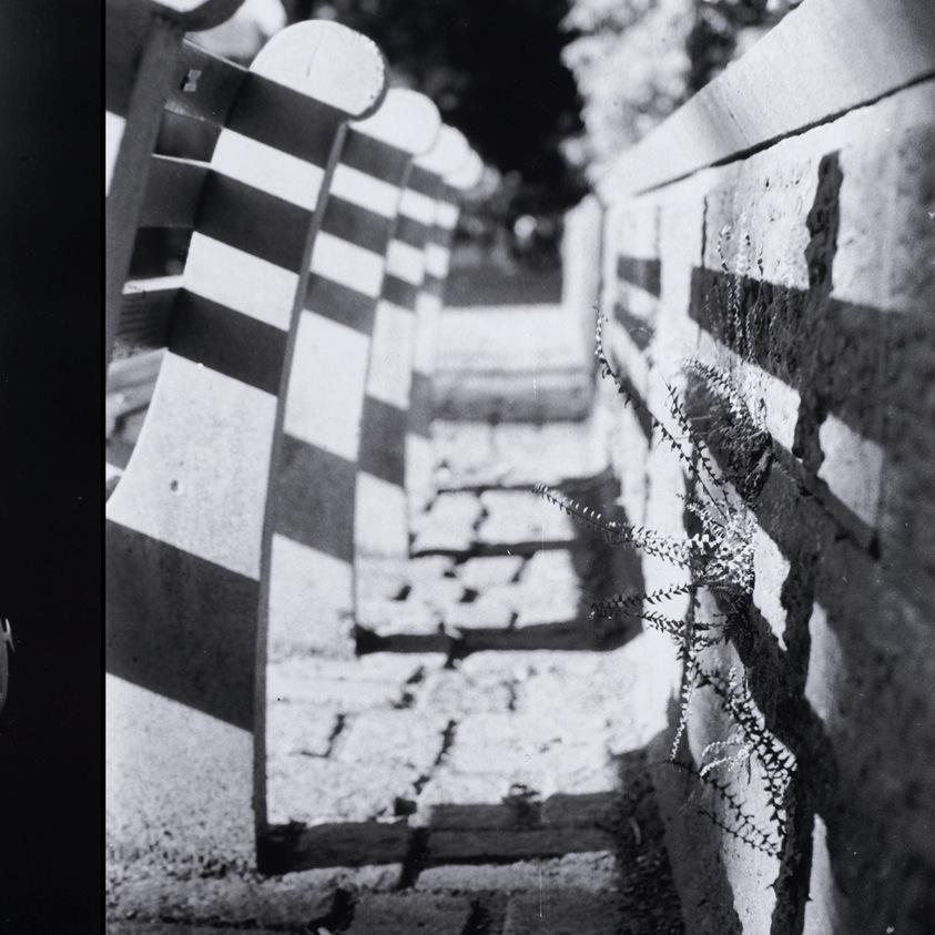 HigherGroundNYC's profile picture. 