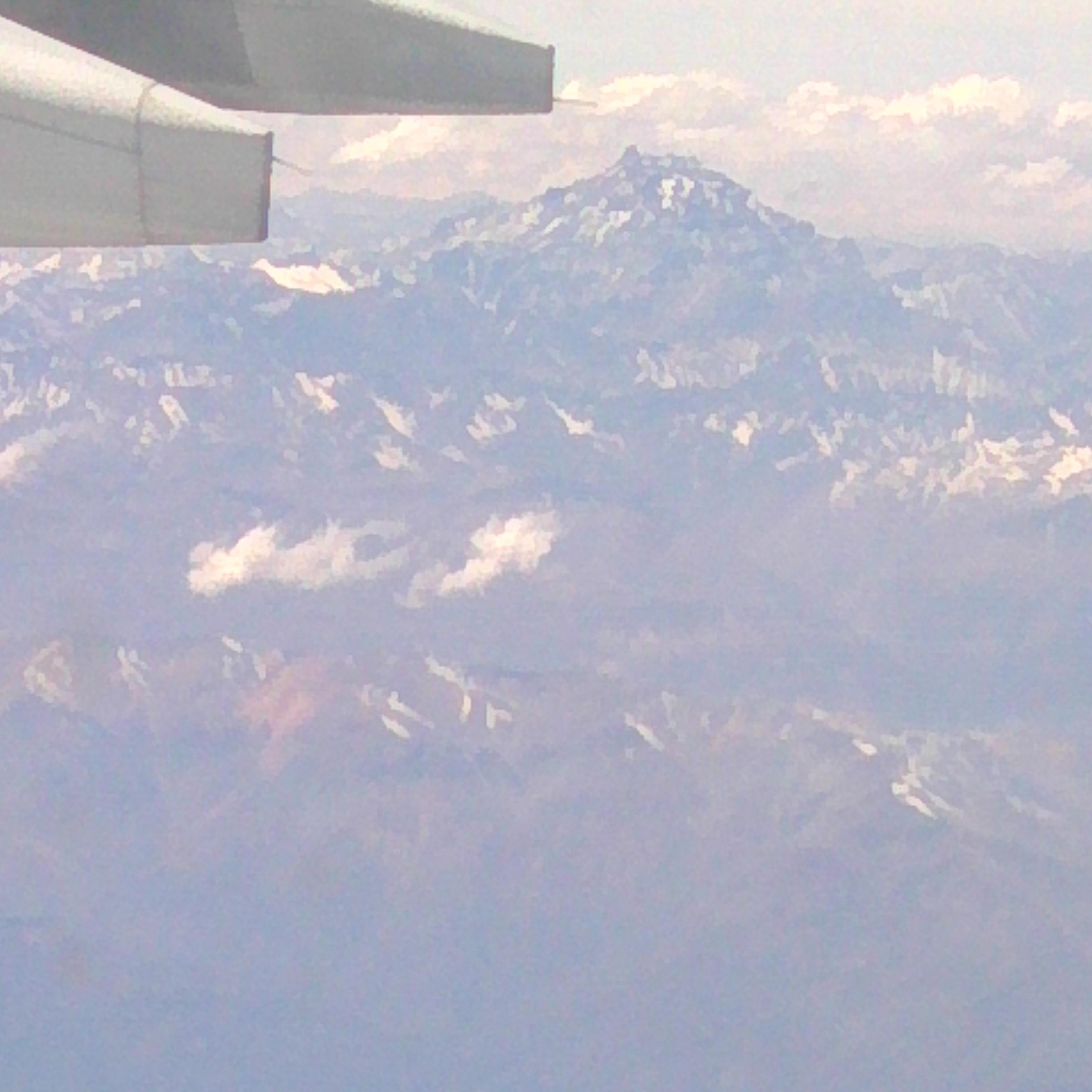 camino335's profile picture. 