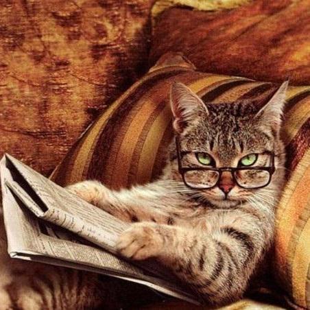 Nerdykitty101mc's profile picture. 