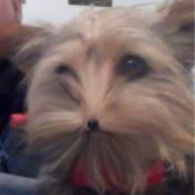 antoniorock25's profile picture. si hay algo que e aprendido en esta vida es que si comes se te quita el hambre . A.J.P.R . Sullivan