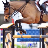 Equestrian Rules (@eqrules) 's Twitter Profile