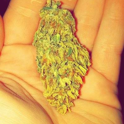 Living the high life. #WeedSquad #406