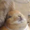 Joel Walker  - @AntiqueBeats - Twitter