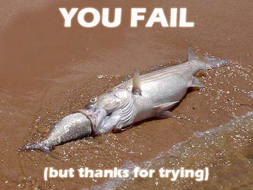 YOU FAIL! But thanks for trying.