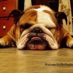 ButlerConfessin's profile picture. This is not affiliated with Butler University. Use the survey to send us your anonymous confessions. This will be checked more often than orginial page!