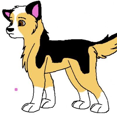 Hi I'm Rex, I love to play and have fun! woof!!!