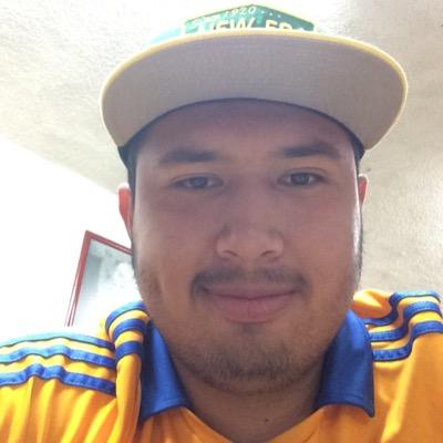 experto en Tigres