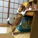 SHINGO (@119Lowlow) Twitter