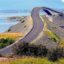 Bryan Liang 🌱 - @BryanLiang_2014 - Twitter