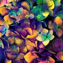 Jadyn Brooks - @jadynbrooks20 - Twitter