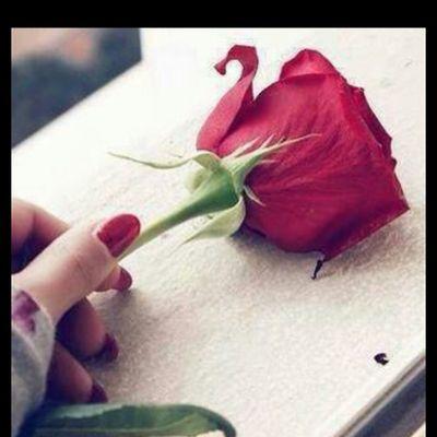 ‏أنا أمرأة‏‏‏أعشق السلام ..والهدوء ..وأكره سخافات التطرف والتعصب لايهمني عدد متابعيني بقدر اهتمامي من اتابعهم بعناية فائقة