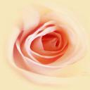 Victor Hawk - @BasonCAI - Twitter