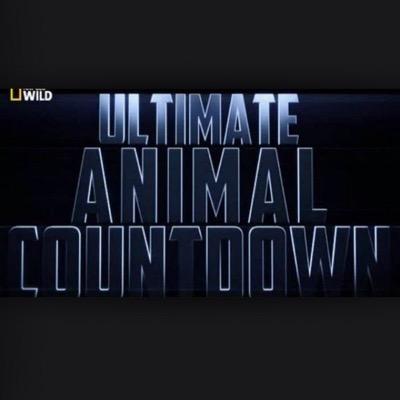 Send me tweets on what animal you want on this week ULTIMATE ANIMAL COUNTDOWN and I'll send you a message back on how I rate and if it's worthy of the countdown