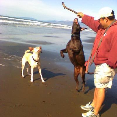 RoInSM's profile picture. SF born and raised, now living on the Peninsula. Lover of all things labs and the @SFGiants. #BeatLA. Politics run left of center, way way left