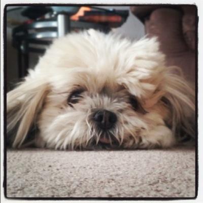 FkPittman's profile picture. 