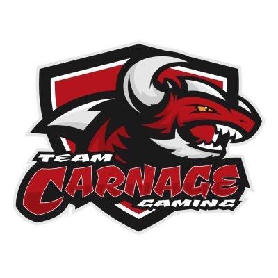 We Are A Premier Gaming Organization @TeamCarnageLLC #TCGaming #TCSnipers Sponsors: @ModJunkiez, @QNGaming and Airbac Backpack 'TeamCarnage' 10% off