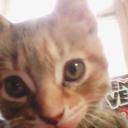 Brooklyn Waters - @brooklynwaters9 - Twitter