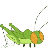 Crickey (@mlp_crickey) 's Twitter Profile Photo