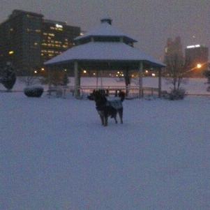 ebellesis79's profile picture. Passionate animal welfare advocate